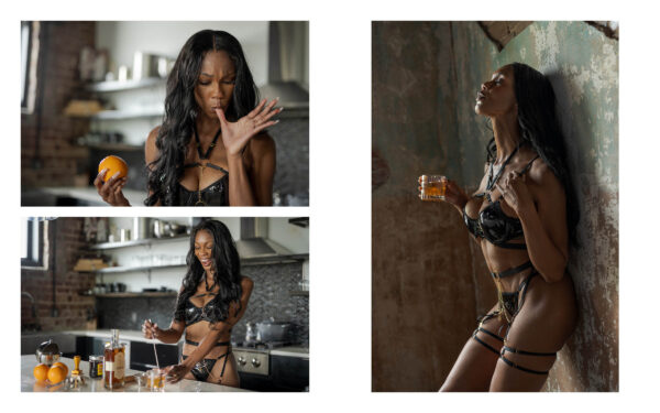VICES: Classic Cocktails & Provocative Boudoir (Standard Edition) - Image 6
